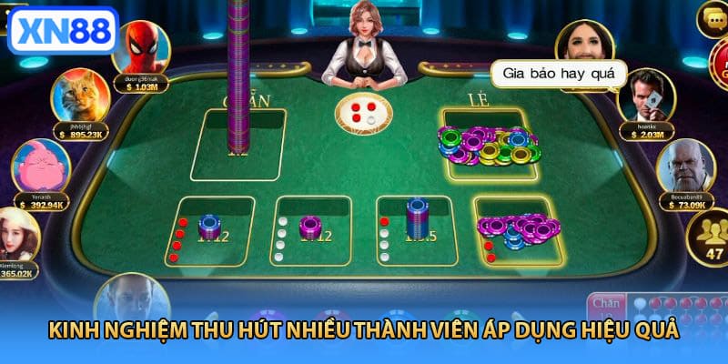 Kinh nghiệm thu hút nhiều thành viên áp dụng hiệu quả